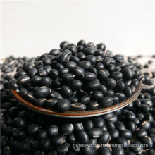 China Manufacture wholesale black bean price